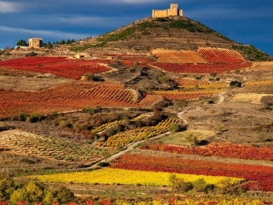 La Rioja. Wine and gastronomy.